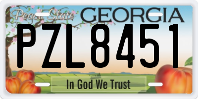GA license plate PZL8451