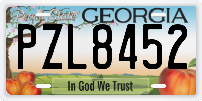GA license plate PZL8452