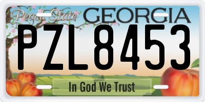 GA license plate PZL8453