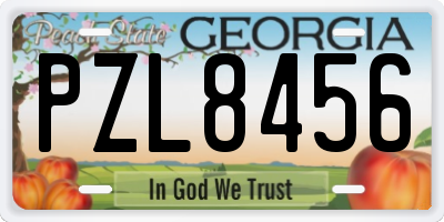 GA license plate PZL8456