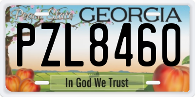 GA license plate PZL8460
