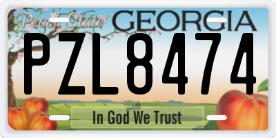 GA license plate PZL8474