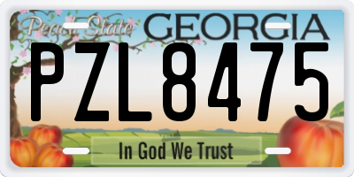 GA license plate PZL8475