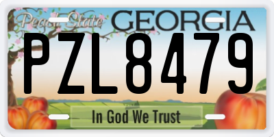 GA license plate PZL8479