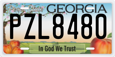 GA license plate PZL8480