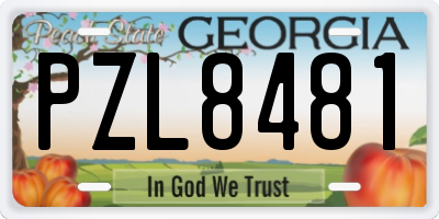GA license plate PZL8481