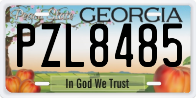 GA license plate PZL8485