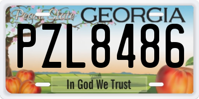 GA license plate PZL8486