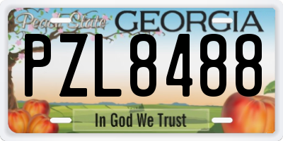 GA license plate PZL8488