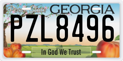 GA license plate PZL8496