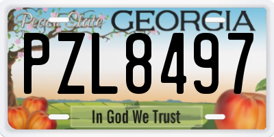 GA license plate PZL8497