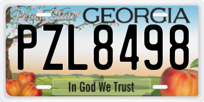 GA license plate PZL8498