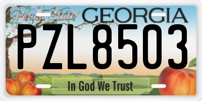 GA license plate PZL8503