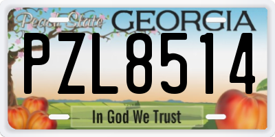 GA license plate PZL8514