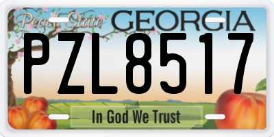 GA license plate PZL8517