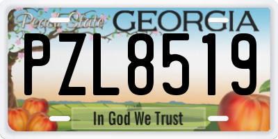 GA license plate PZL8519