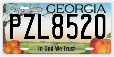GA license plate PZL8520
