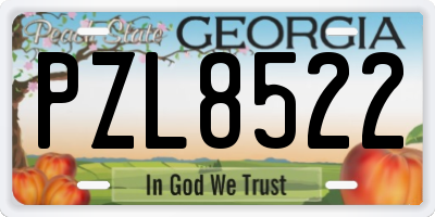 GA license plate PZL8522