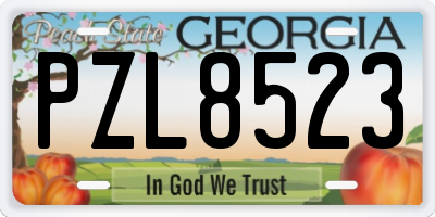 GA license plate PZL8523