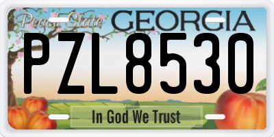 GA license plate PZL8530