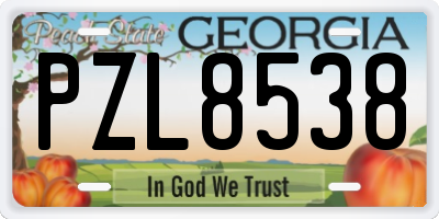 GA license plate PZL8538