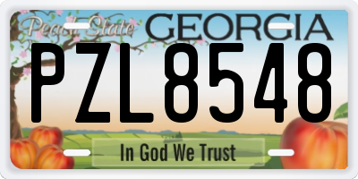 GA license plate PZL8548
