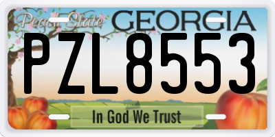 GA license plate PZL8553
