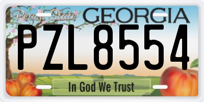 GA license plate PZL8554