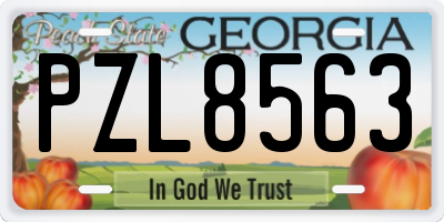 GA license plate PZL8563