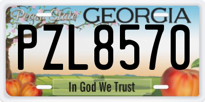 GA license plate PZL8570
