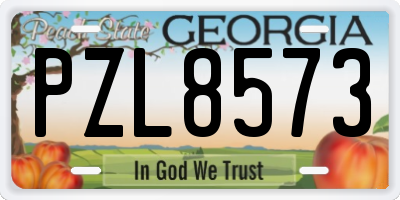 GA license plate PZL8573