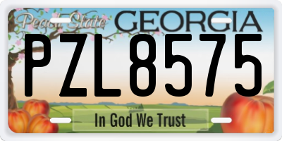 GA license plate PZL8575