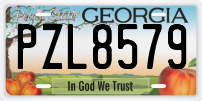 GA license plate PZL8579