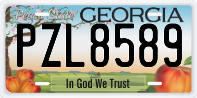 GA license plate PZL8589