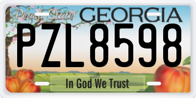 GA license plate PZL8598