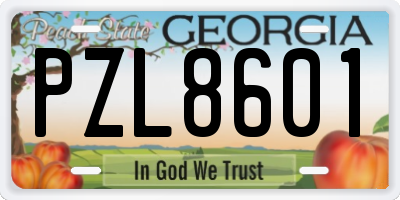 GA license plate PZL8601