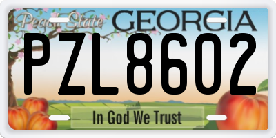 GA license plate PZL8602