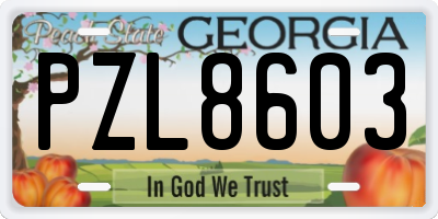 GA license plate PZL8603