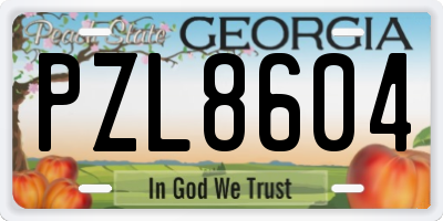 GA license plate PZL8604
