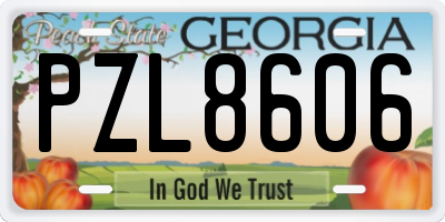 GA license plate PZL8606