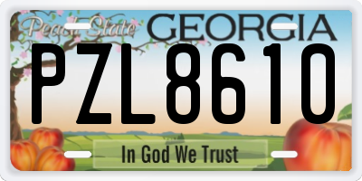 GA license plate PZL8610