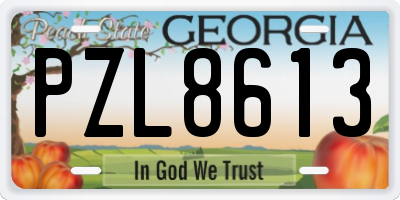 GA license plate PZL8613