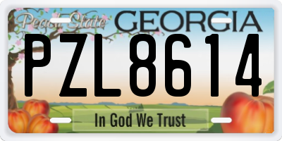 GA license plate PZL8614