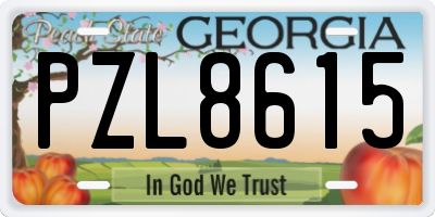 GA license plate PZL8615