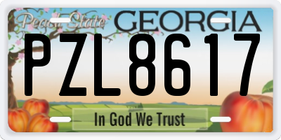 GA license plate PZL8617