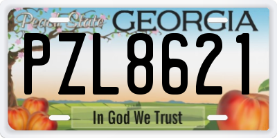 GA license plate PZL8621