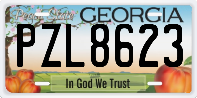 GA license plate PZL8623
