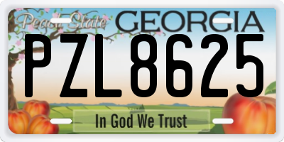 GA license plate PZL8625