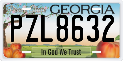 GA license plate PZL8632