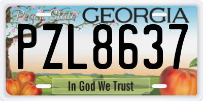 GA license plate PZL8637